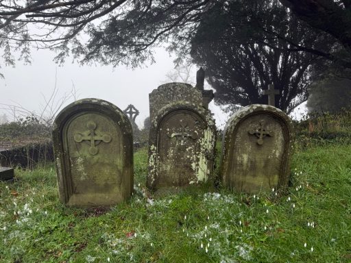 Gravestones under yew Gravestones under yew